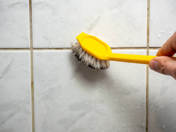 Best Professional Mold Removal  in Primera, TX